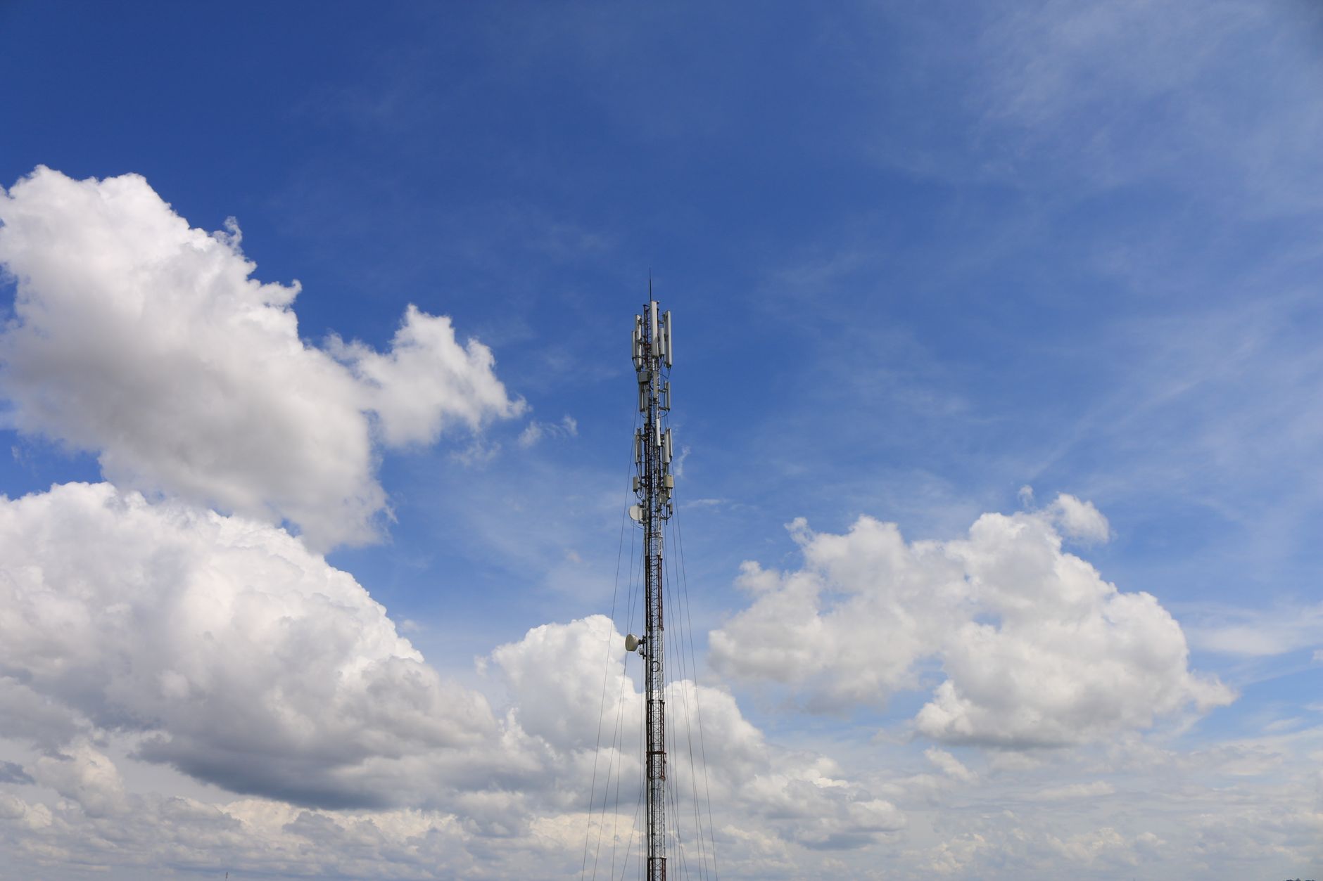 Pessoa a utilizar um computador portátil num ambiente natural