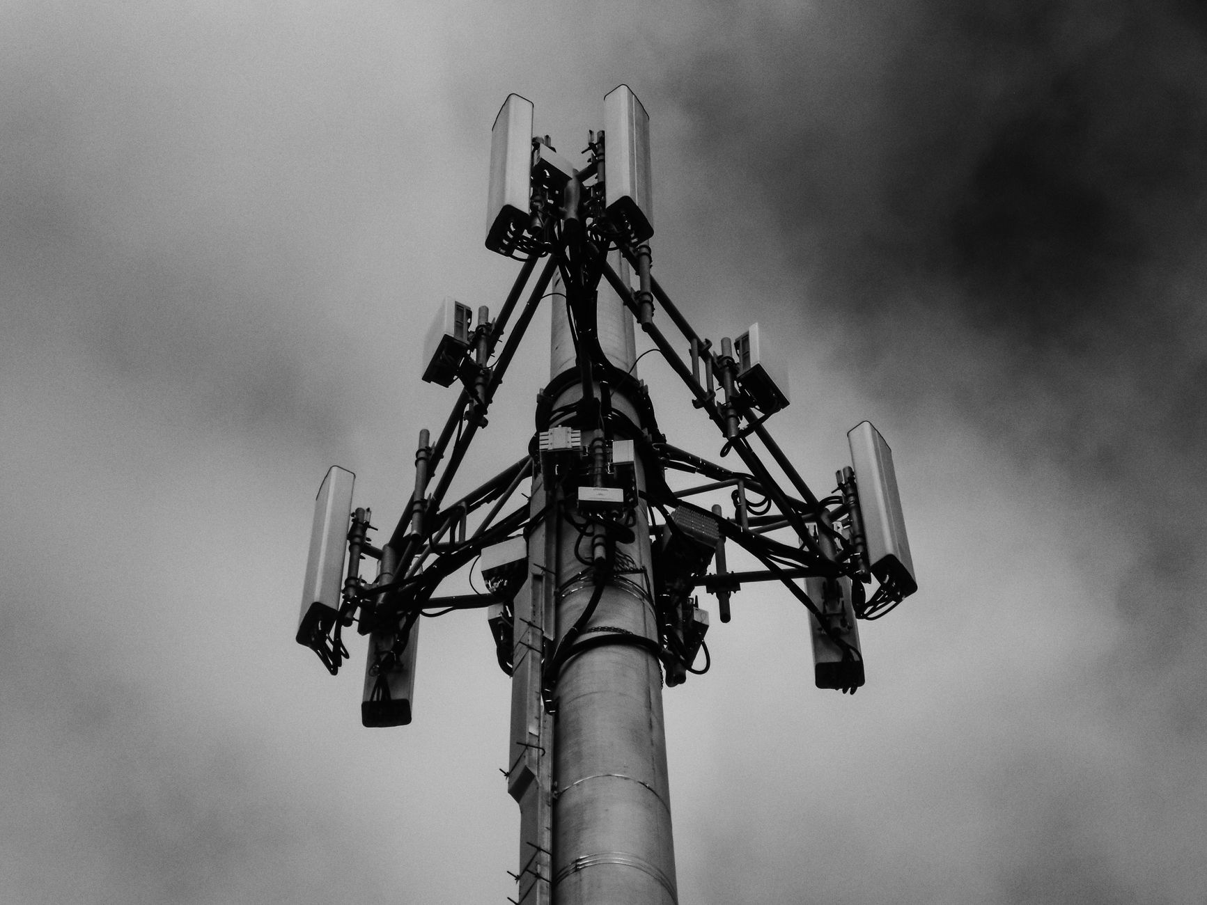 Fratura Digital 2026: Por que a fibra ainda luta para chegar às zonas rurais?