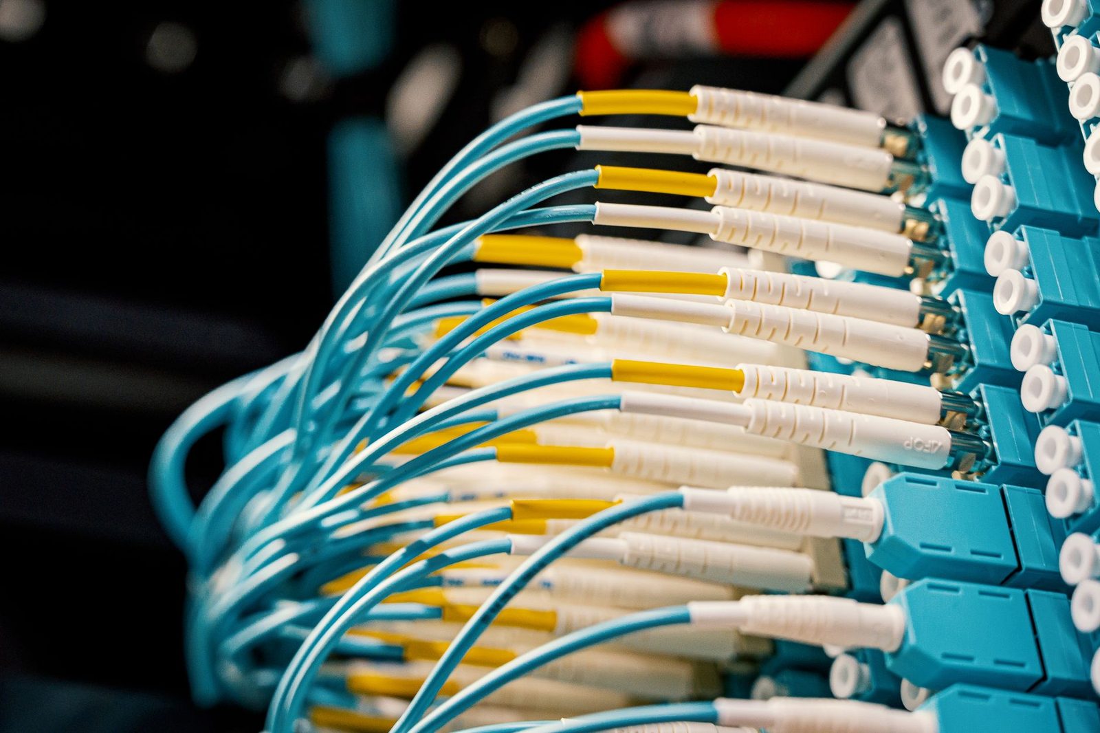 Câbles à fibre optique turquoise raccordés à un panneau de brassage dans une baie de télécommunications