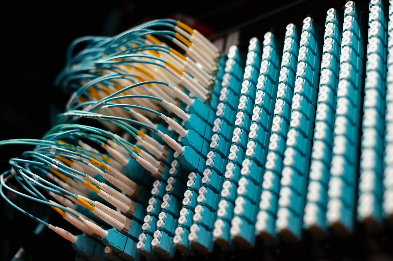 Gros plan sur des câbles de fibre optique turquoise raccordés à un panneau de brassage dans un centre de données
