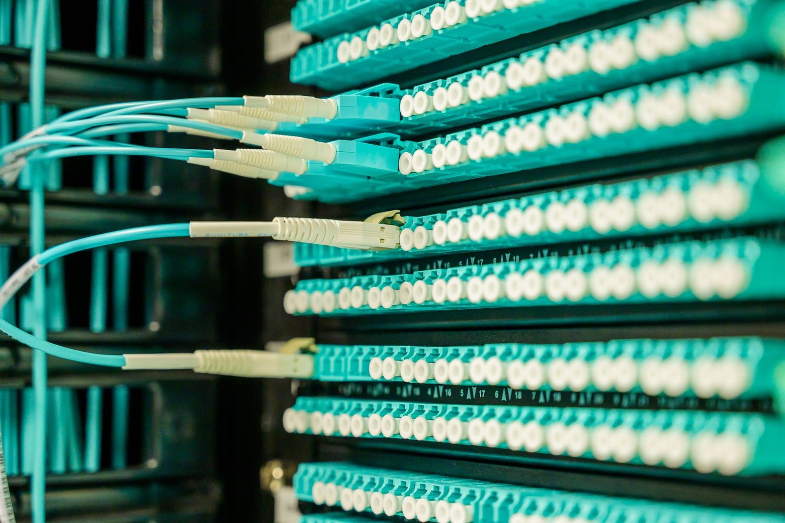 Türkisfarbene Glasfaserkabel, angeschlossen an ein Patchpanel in einem Netzwerkschrank
